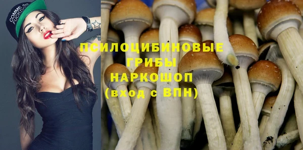 каннабис Аркадак