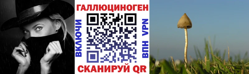 Галлюциногенные грибы прущие грибы  Вельск 